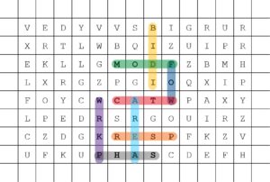 MLR Project Management & Consultancy